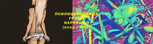 Альфа ПВП Белокуриха