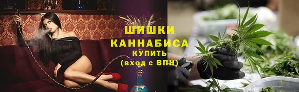 эйфоретик Арсеньев