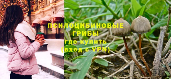 марки nbome Богданович