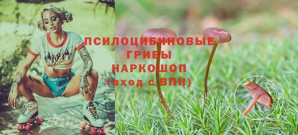 меф Армянск