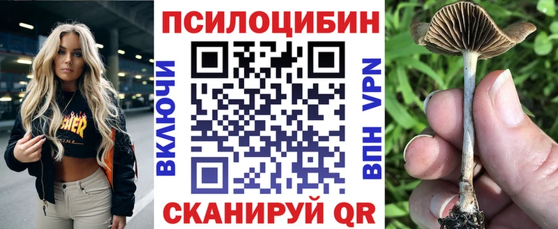 shop состав  Свирск  Псилоцибиновые грибы GOLDEN TEACHER 